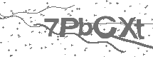 CAPTCHA Image