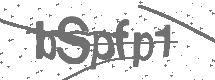 CAPTCHA Image