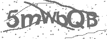 CAPTCHA Image