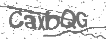 CAPTCHA Image